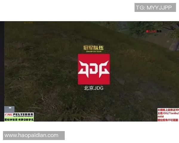 和平精英战术排行榜揭晓JDG战队荣登第一名引发热议